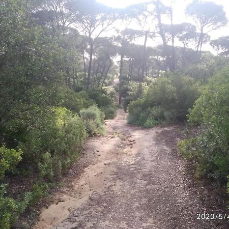 Casa Rural Los Pinos Hinojos エクステリア 写真
