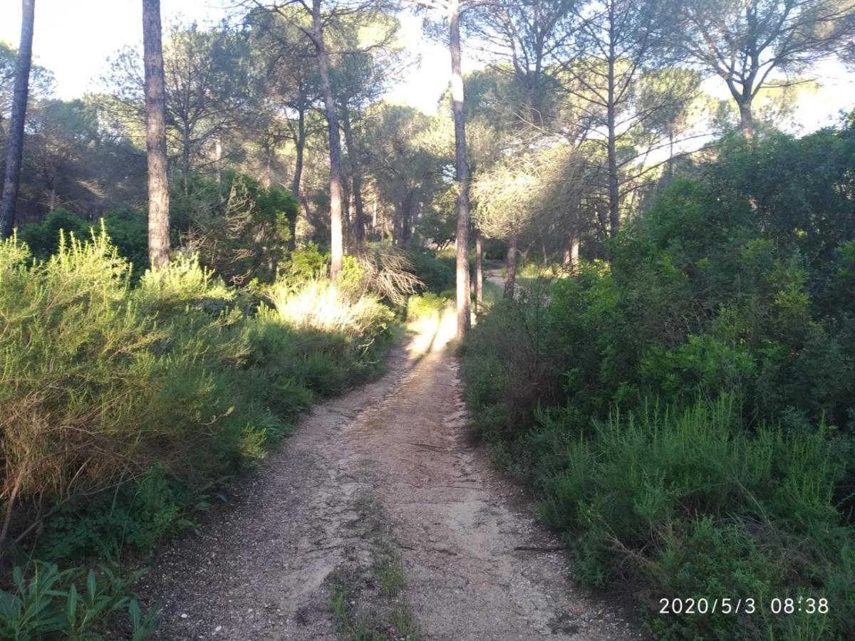 Casa Rural Los Pinos Hinojos エクステリア 写真