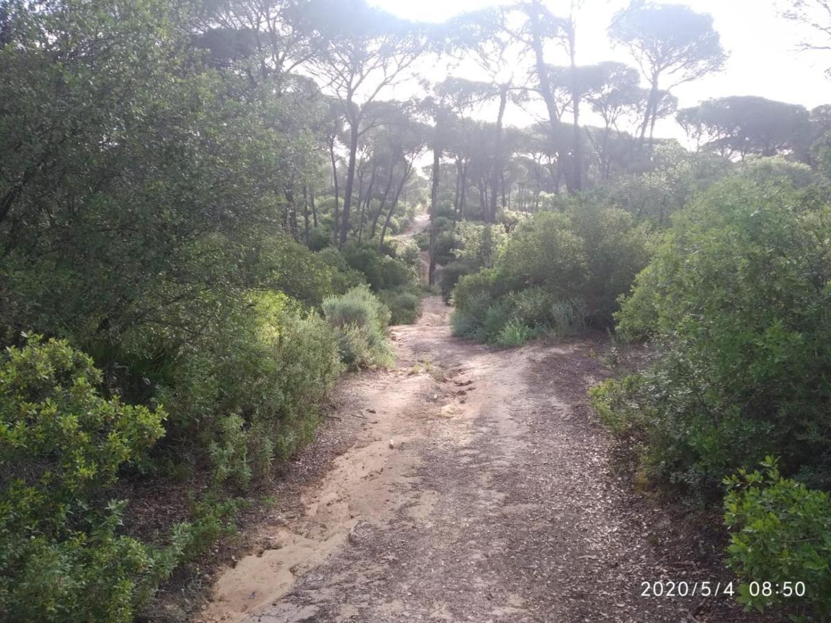 Casa Rural Los Pinos Hinojos エクステリア 写真